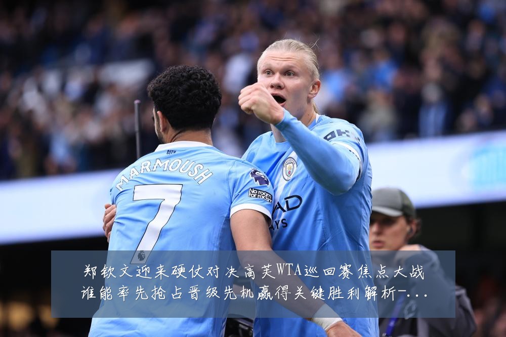 郑钦文迎来硬仗对决高芙WTA巡回赛焦点大战谁能率先抢占晋级先机赢得关键胜利解析-深度解析
