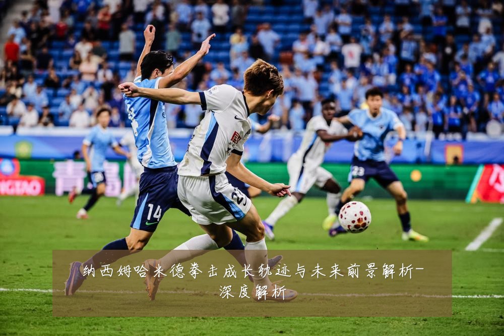 纳西姆哈米德拳击成长轨迹与未来前景解析-深度解析